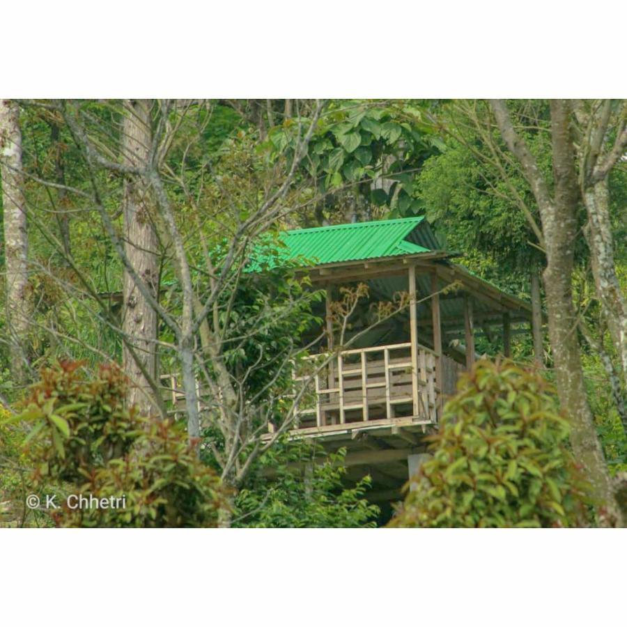 Suma Aavaas Farmstay Darjeeling  Esterno foto